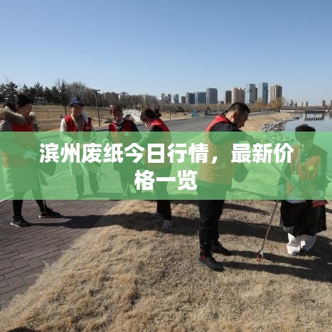 滨州废纸今日行情，最新价格一览
