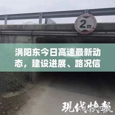 涡阳东今日高速最新动态，建设进展、路况信息及开通时间一网打尽！
