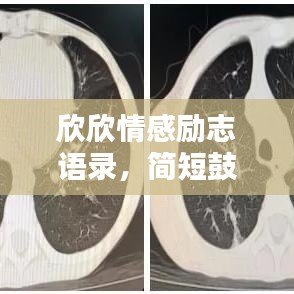 欣欣情感励志语录，简短鼓舞人心的励志语录分享