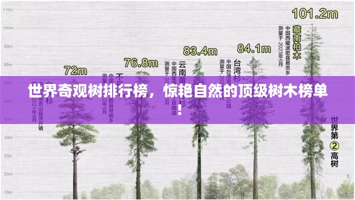 世界奇观树排行榜，惊艳自然的顶级树木榜单！
