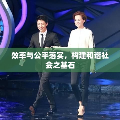 效率与公平落实，构建和谐社会之基石