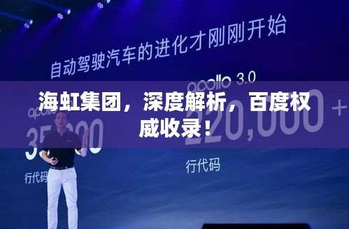 海虹集团，深度解析，百度权威收录！