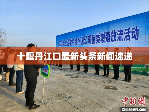 十堰丹江口最新头条新闻速递