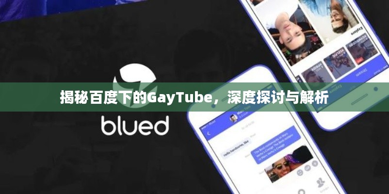 揭秘百度下的GayTube，深度探讨与解析