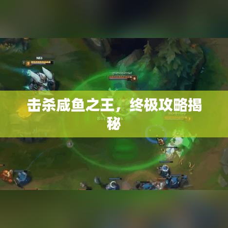 击杀咸鱼之王，终极攻略揭秘