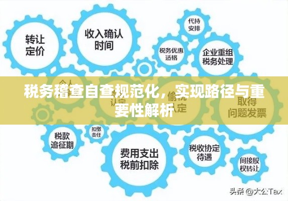 税务稽查自查规范化，实现路径与重要性解析
