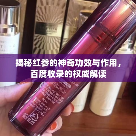 揭秘红参的神奇功效与作用，百度收录的权威解读