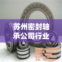 苏州密封轴承公司行业排名及影响力分析，揭秘其在轴承领域的地位