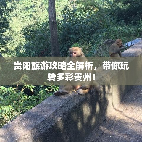贵阳旅游攻略全解析，带你玩转多彩贵州！