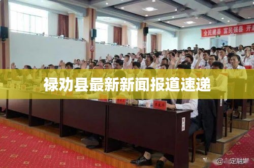 禄劝县最新新闻报道速递