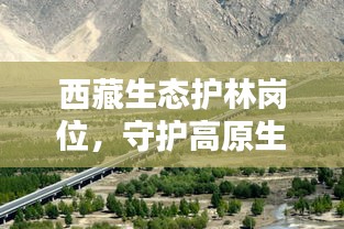 西藏生态护林岗位，守护高原生态的坚实力量