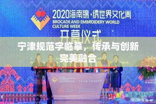 宁津规范字临摹，传承与创新完美融合