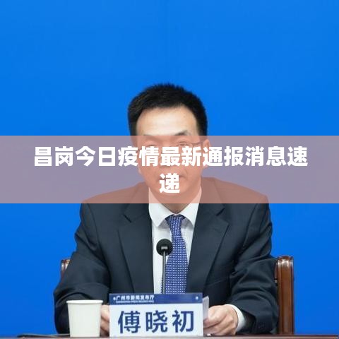 昌岗今日疫情最新通报消息速递