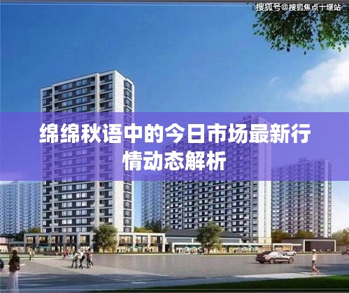 绵绵秋语中的今日市场最新行情动态解析