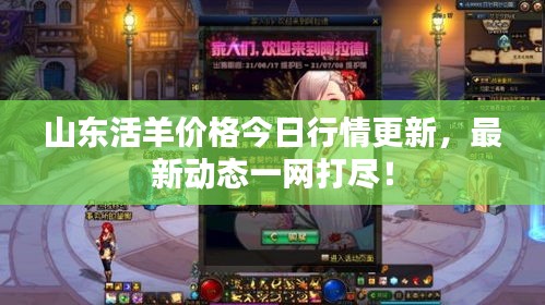 山东活羊价格今日行情更新，最新动态一网打尽！