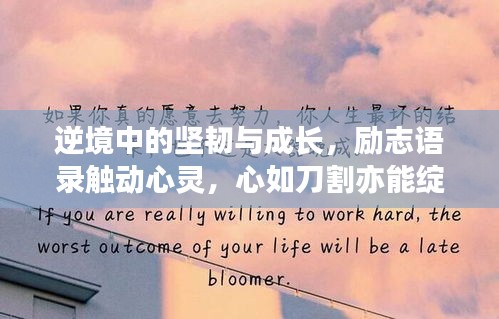 逆境中的坚韧与成长，励志语录触动心灵，心如刀割亦能绽放光芒