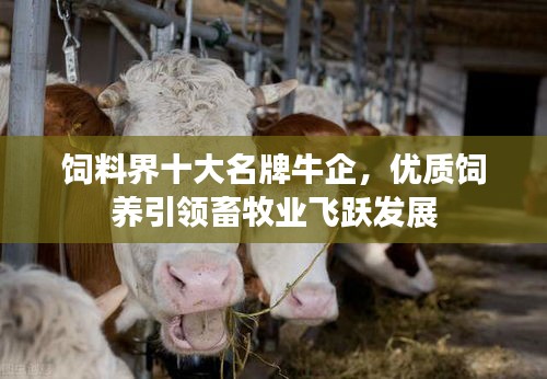 饲料界十大名牌牛企，优质饲养引领畜牧业飞跃发展