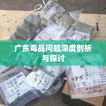 广东毒品问题深度剖析与探讨