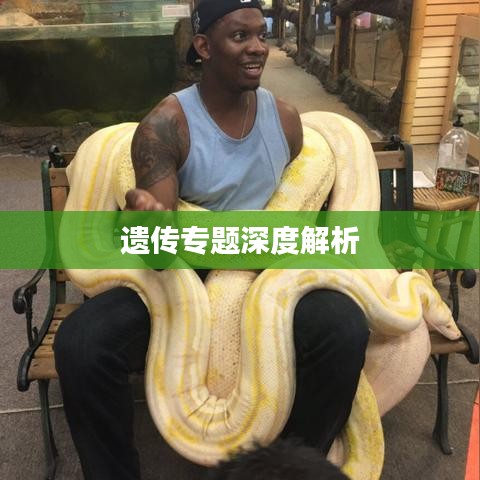遗传专题深度解析