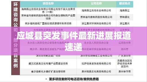 应城县突发事件最新进展报道速递
