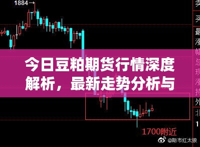 今日豆粕期货行情深度解析，最新走势分析与预测