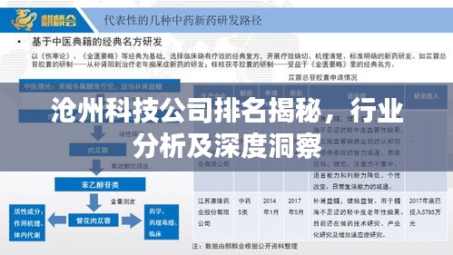 沧州科技公司排名揭秘，行业分析及深度洞察