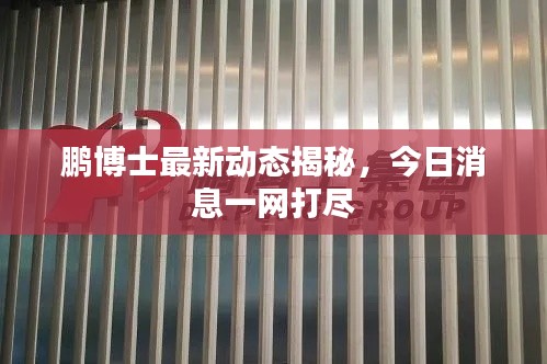 鹏博士最新动态揭秘，今日消息一网打尽