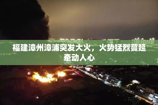 福建漳州漳浦突发大火，火势猛烈蔓延牵动人心