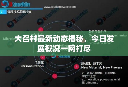 大召村最新动态揭秘，今日发展概况一网打尽