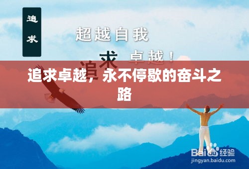 追求卓越，永不停歇的奋斗之路