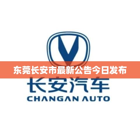 东莞长安市最新公告今日发布