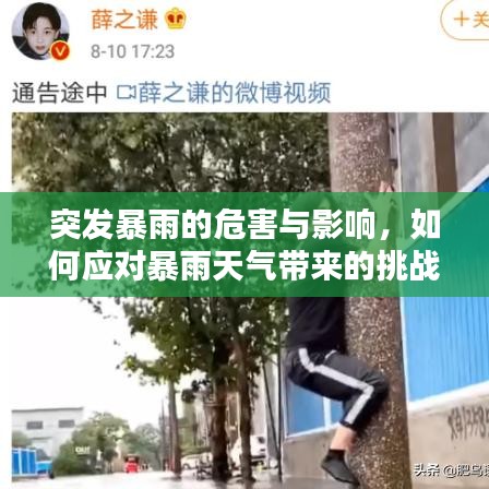 突发暴雨的危害与影响，如何应对暴雨天气带来的挑战