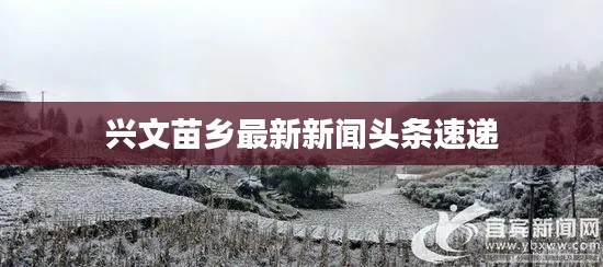 兴文苗乡最新新闻头条速递