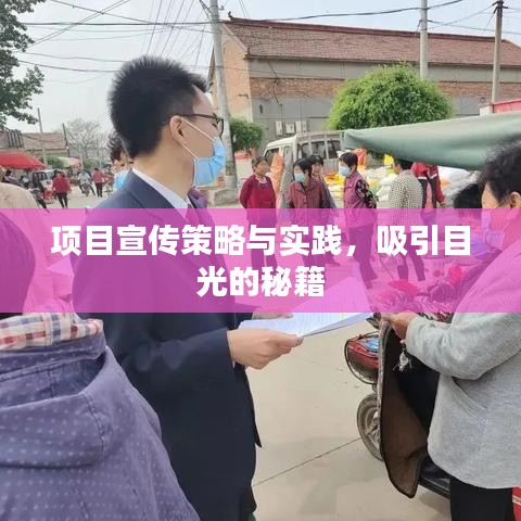 项目宣传策略与实践，吸引目光的秘籍
