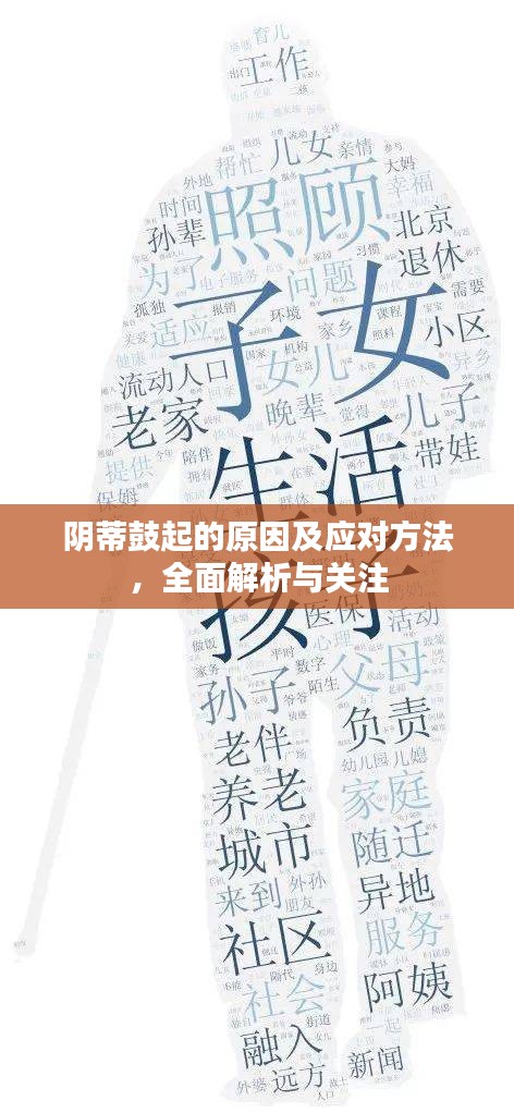 阴蒂鼓起的原因及应对方法，全面解析与关注