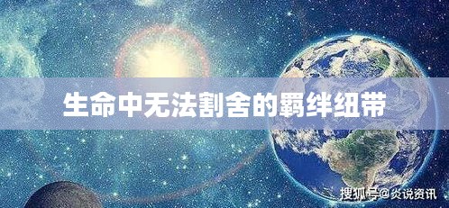 生命中无法割舍的羁绊纽带
