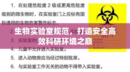 生物实验室规范，打造安全高效科研环境之巅