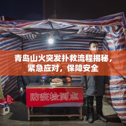 青岛山火突发扑救流程揭秘，紧急应对，保障安全