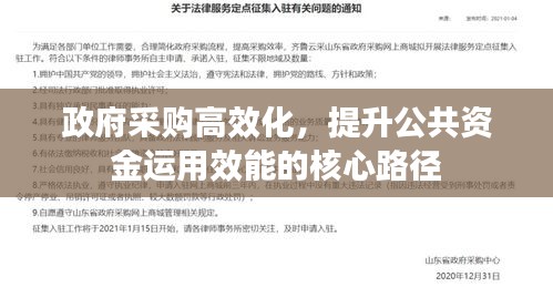 政府采购高效化，提升公共资金运用效能的核心路径