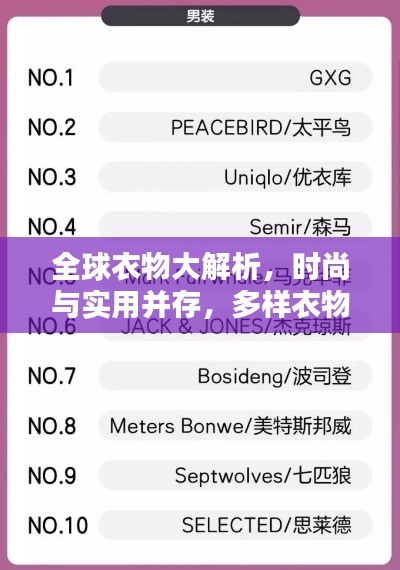全球衣物大解析，时尚与实用并存，多样衣物排名榜单揭秘