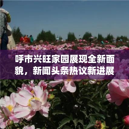 呼市兴旺家园展现全新面貌，新闻头条热议新进展