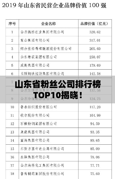 山东省粉丝公司排行榜TOP10揭晓！