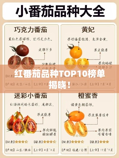 红番茄品种TOP10榜单揭晓！