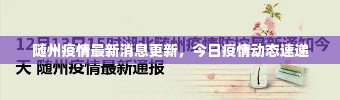 随州疫情最新消息更新，今日疫情动态速递