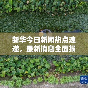 新华今日新闻热点速递，最新消息全面报道