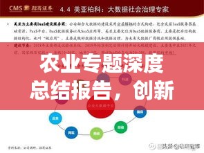 农业专题深度总结报告，创新实践与发展趋势分析