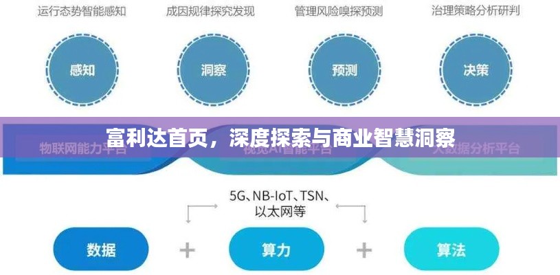 富利达首页，深度探索与商业智慧洞察