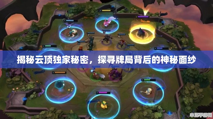 揭秘云顶独家秘密，探寻牌局背后的神秘面纱