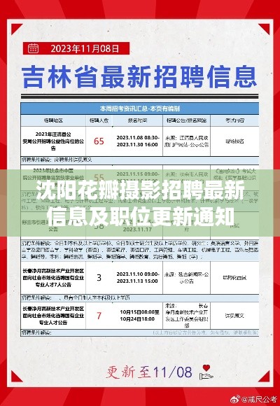 沈阳花瓣摄影招聘最新信息及职位更新通知