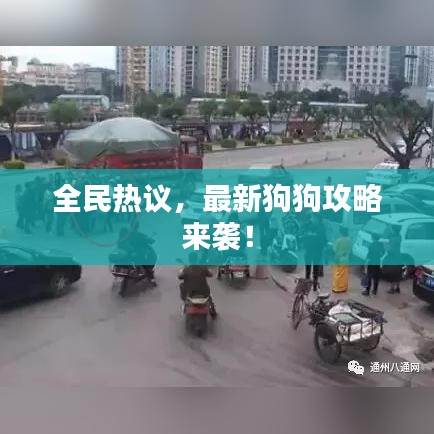 全民热议，最新狗狗攻略来袭！